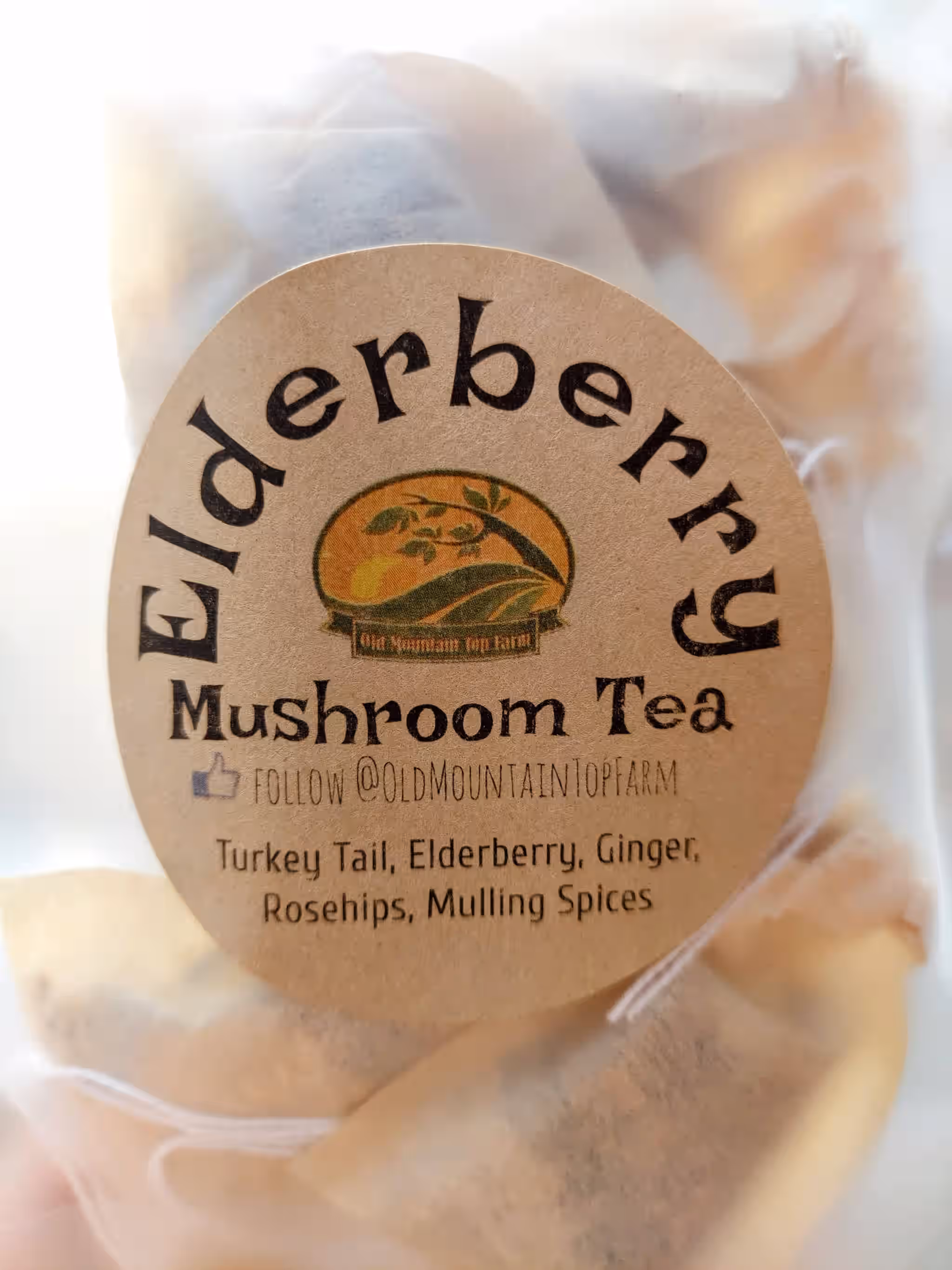 Elderberry Tea with Turkey Tail