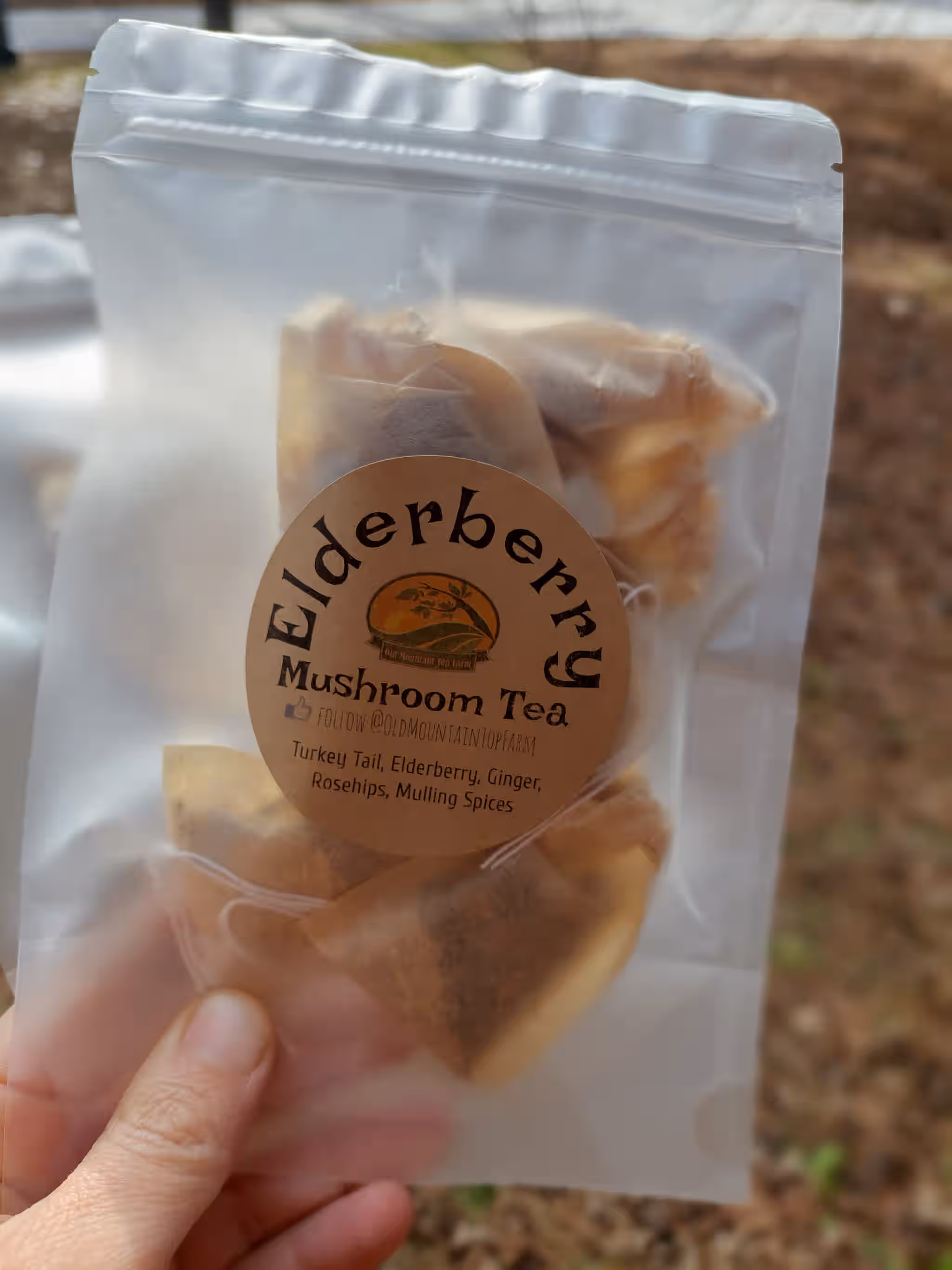 Elderberry Tea with Turkey Tail