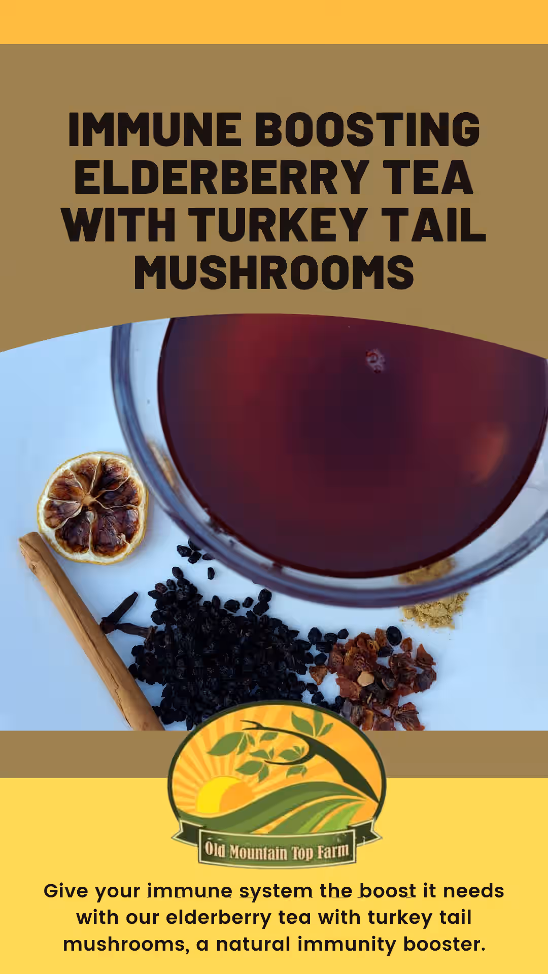 Elderberry Tea with Turkey Tail