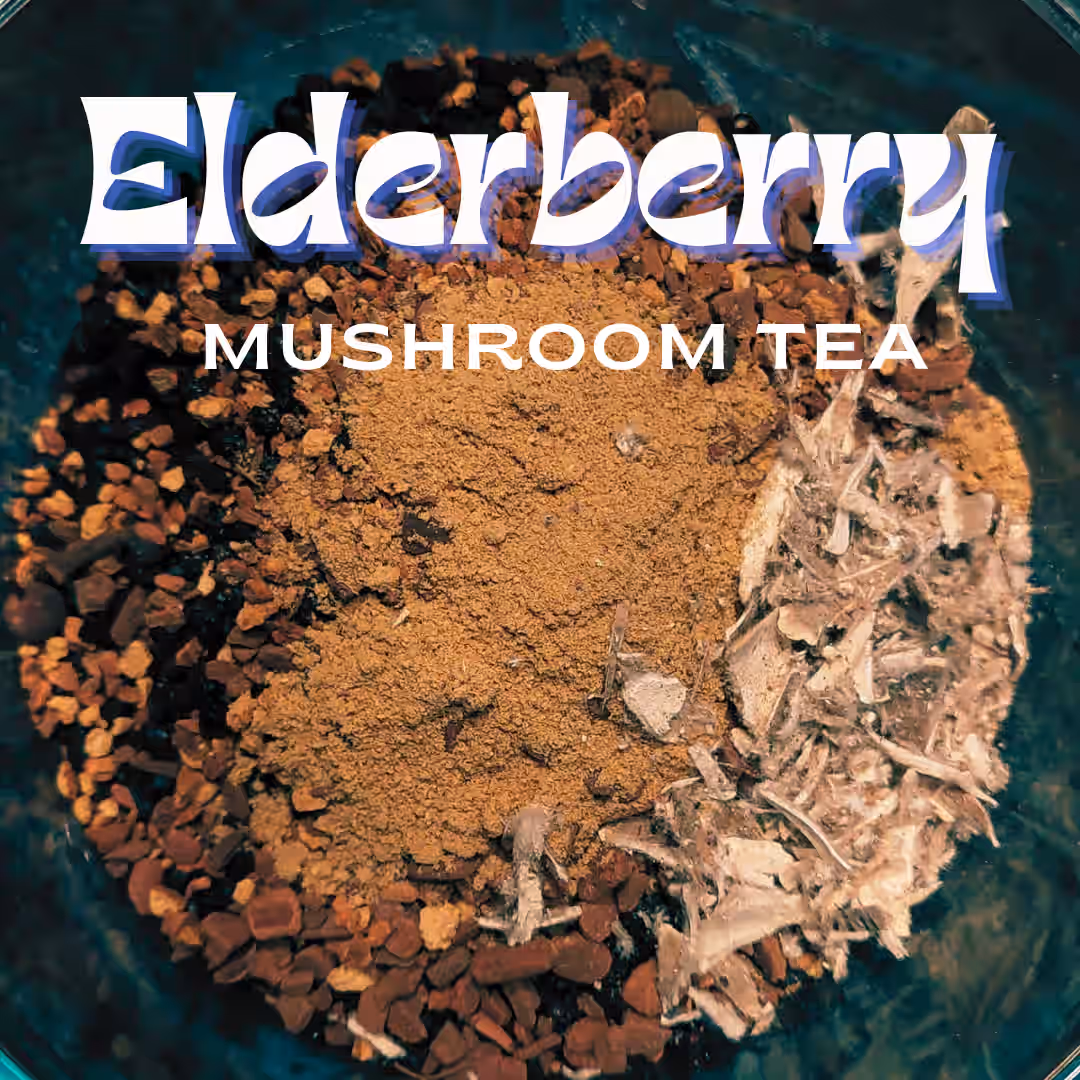 Elderberry Tea with Turkey Tail