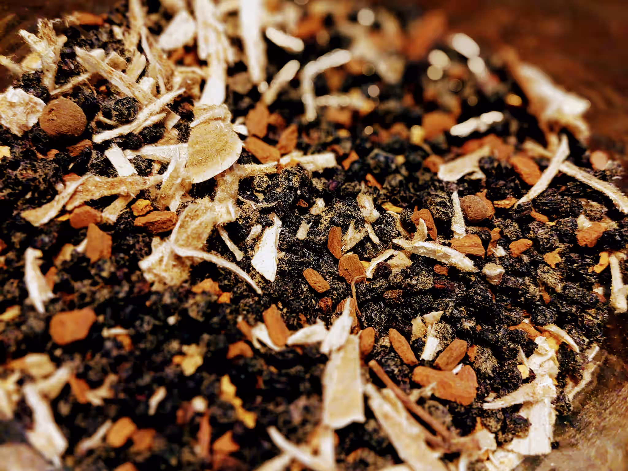 Elderberry Tea with Turkey Tail