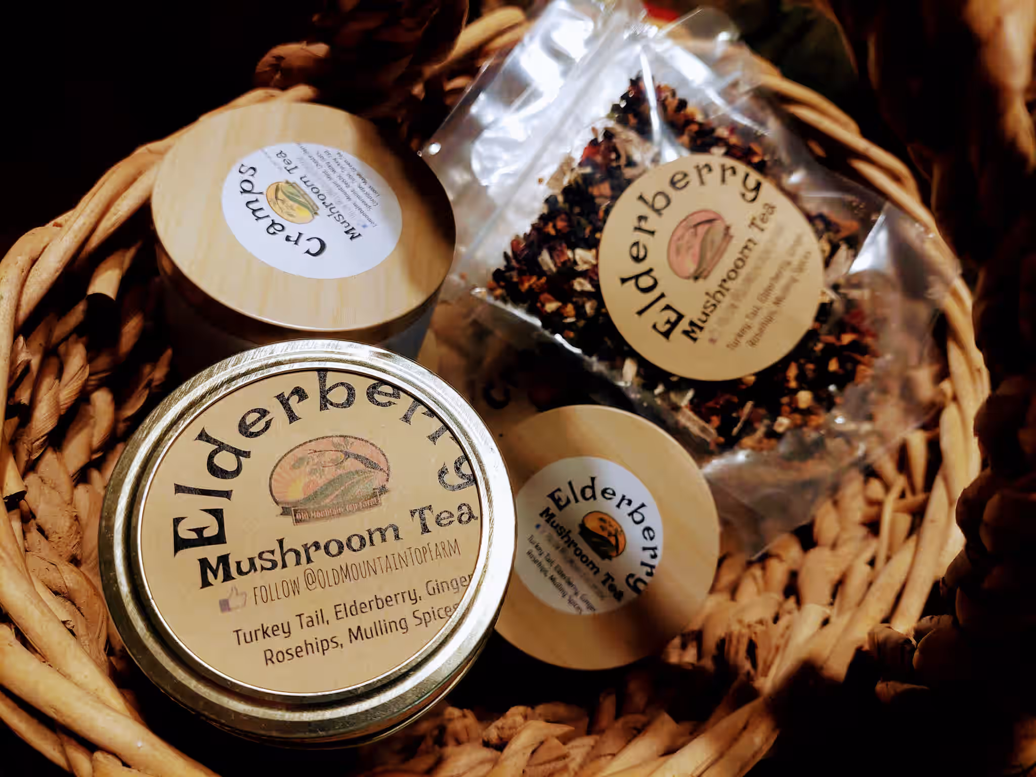Elderberry Tea with Turkey Tail