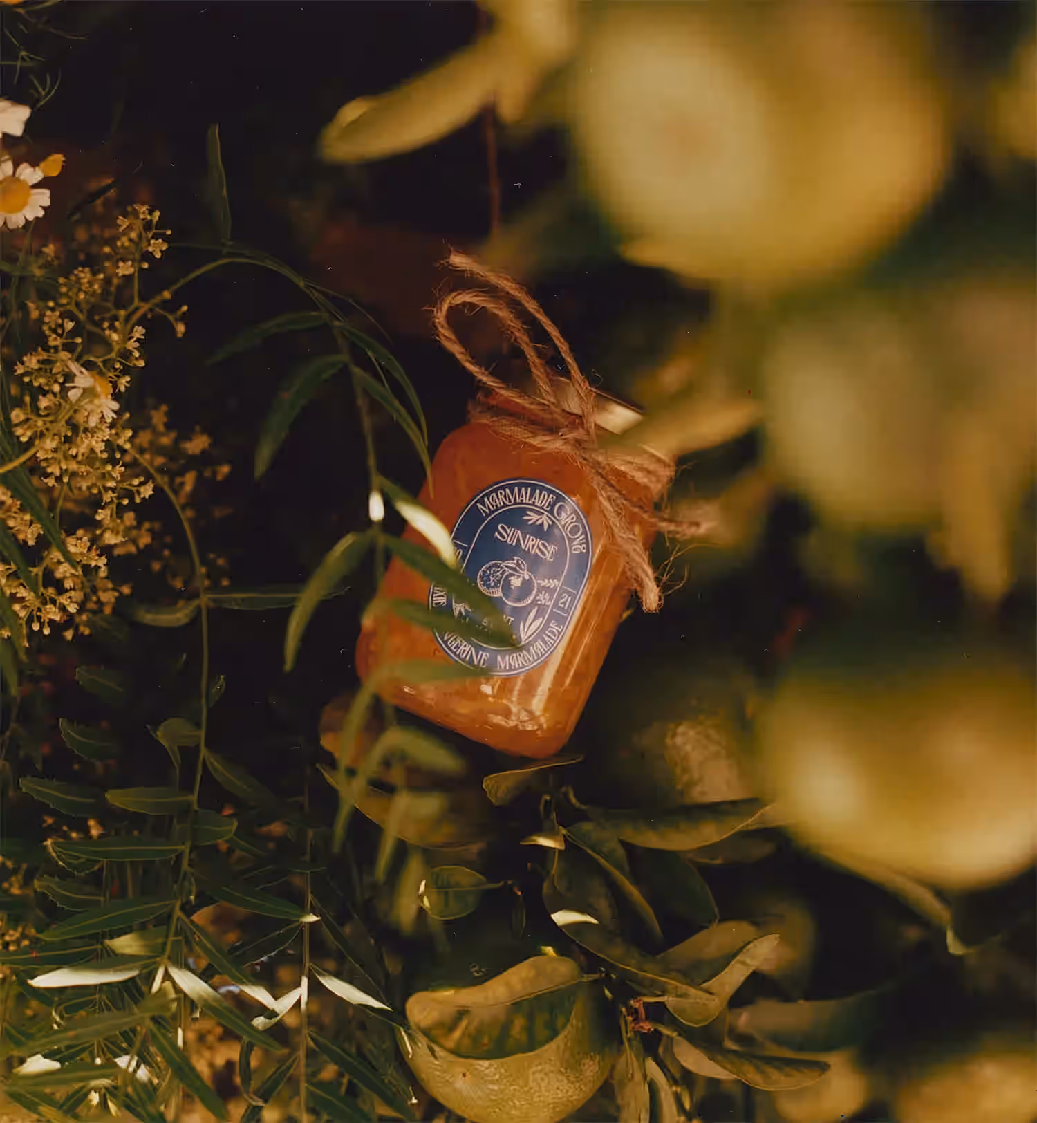 "SUNRISE" PIXIE TANGERINE MARMALADE