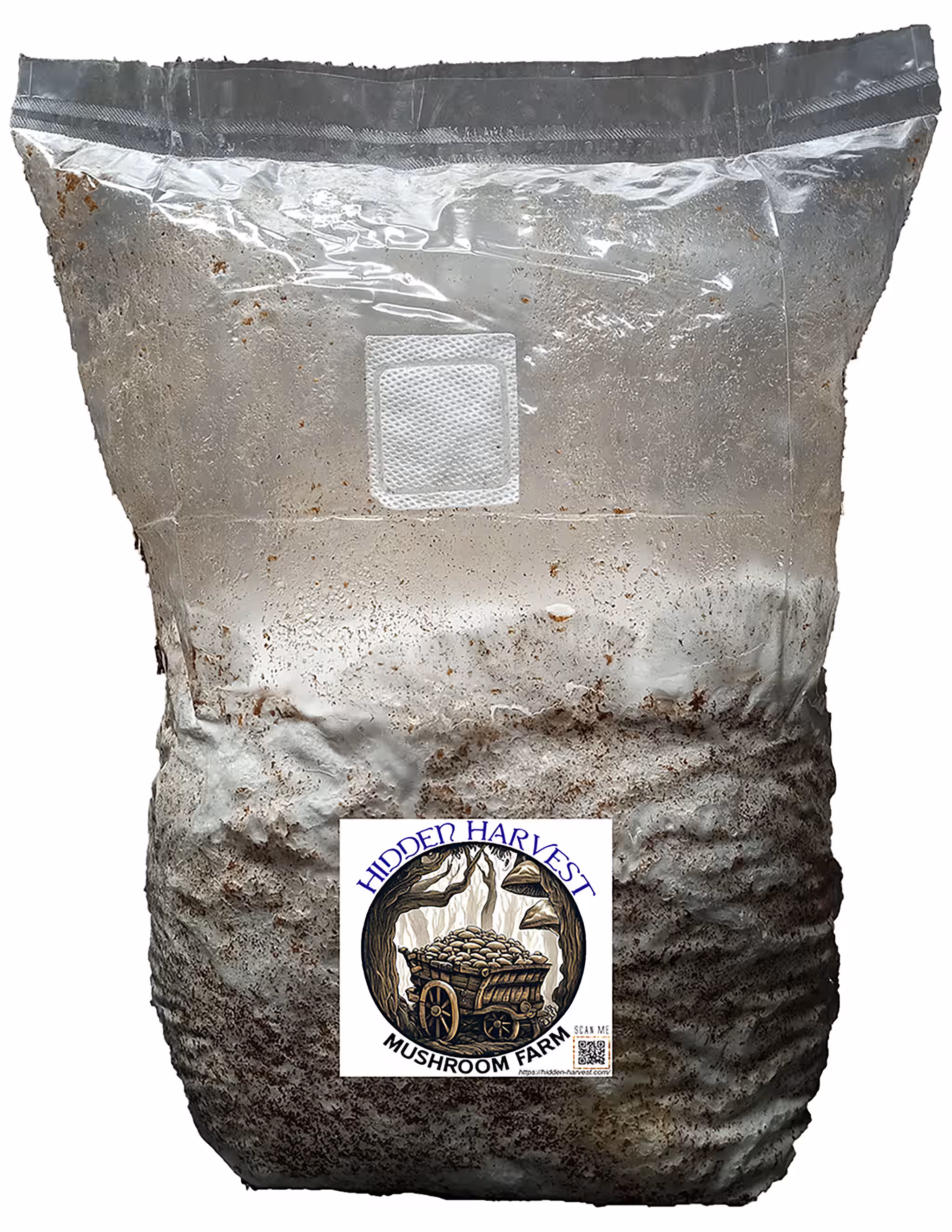 Aspen Oyster (Pleurotus Populinus) Mushroom Block, Bag Kit 10Lb,üçÑ Grow It On The Block, Use As Spawn, or Dowels, Wood Chip Beds, MANY USES.