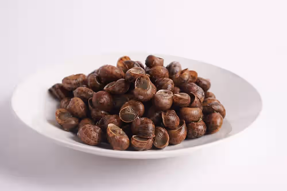 Escargot In Shell - 10 Dozen (120 pcs) - Fresh - SHIPS TUESDAY FOR WEDNESDAY DELIVERY