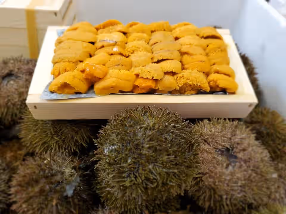 FRESH SEA URCHIN ROE (UNI)