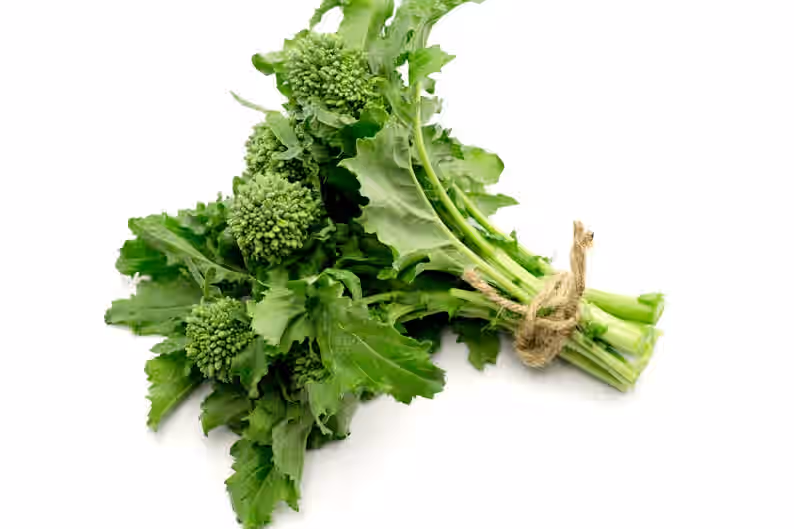 Broccoli Raab Spring Rapini Heirloom Premium Seed Packet