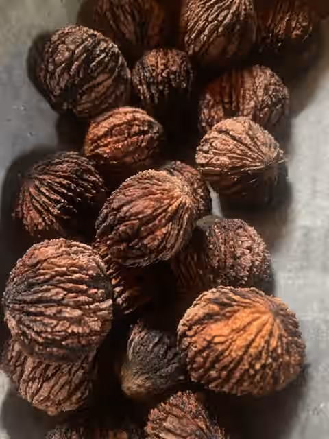 2025 one pound Wild Foraged Pennsylvania Black Walnuts in Shell Cleaned