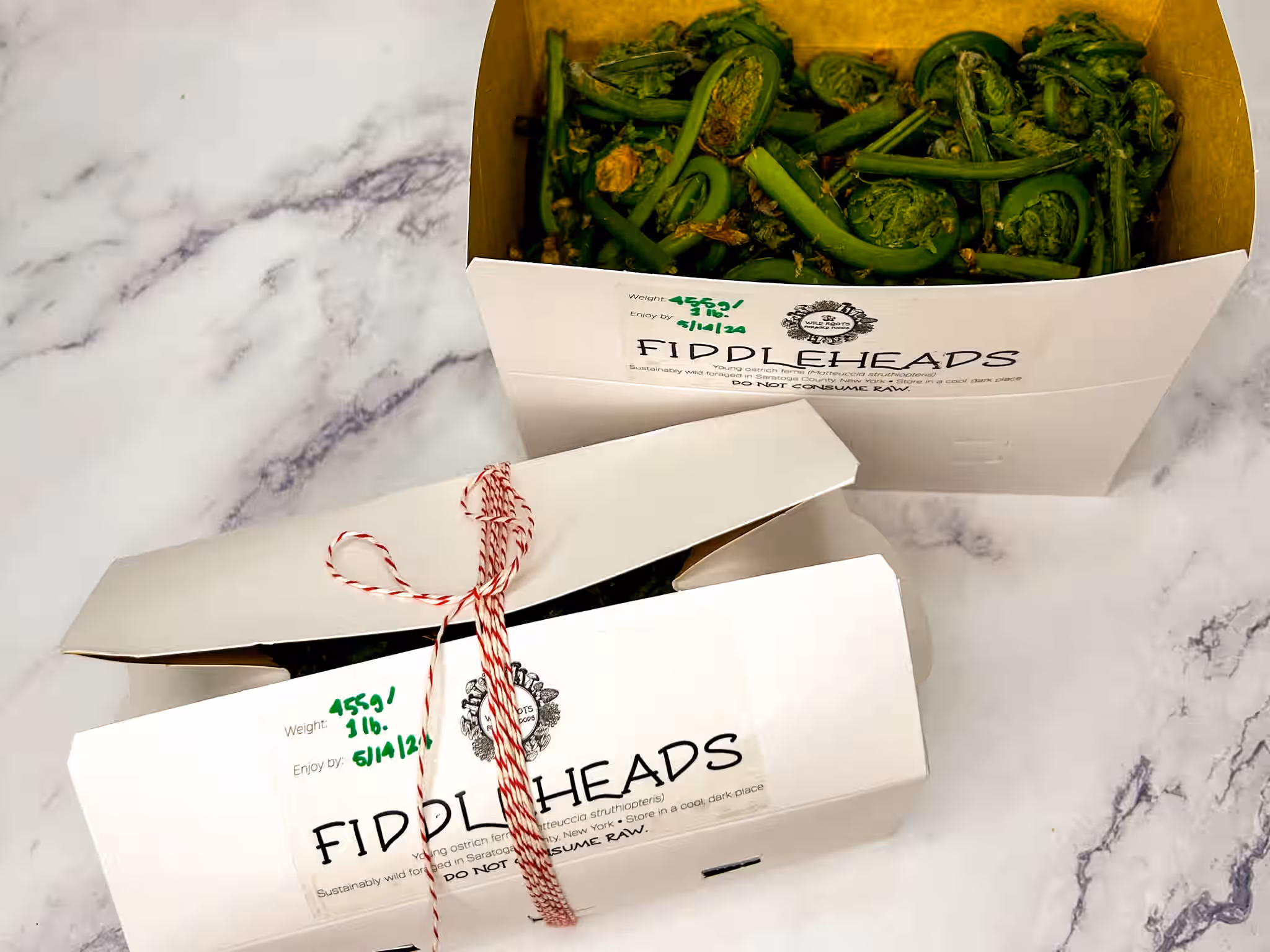 Fresh, Sustainably Foraged Wild Fiddleheads – Ostrich Ferns – 1 pound – Saratoga County, New York