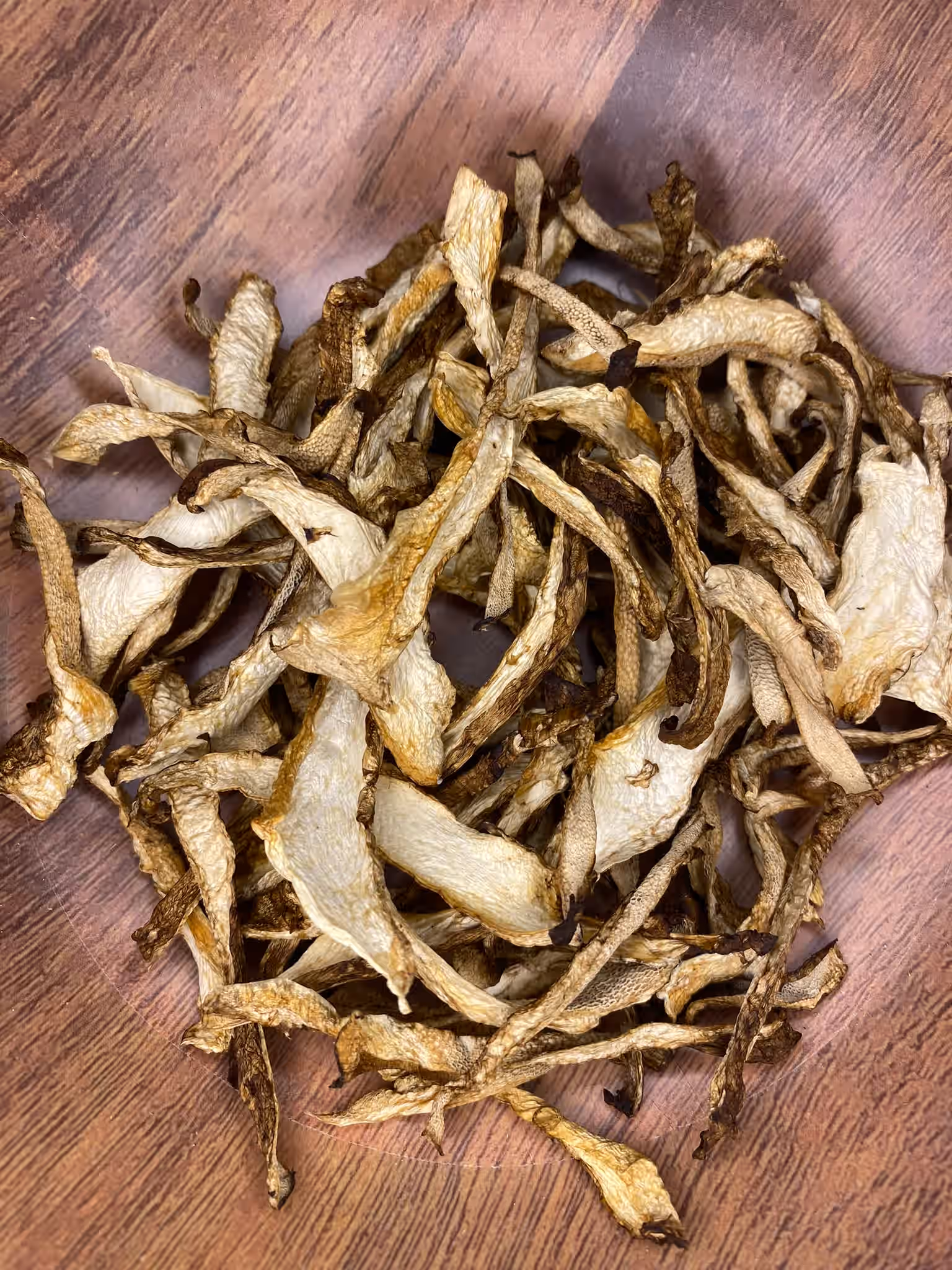 Dried Wild Pheasant Back (Cerioporus squamosus)