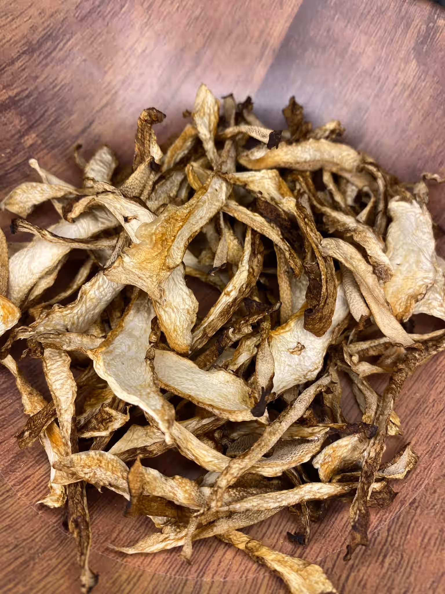 Dried Wild Pheasant Back (Cerioporus squamosus)