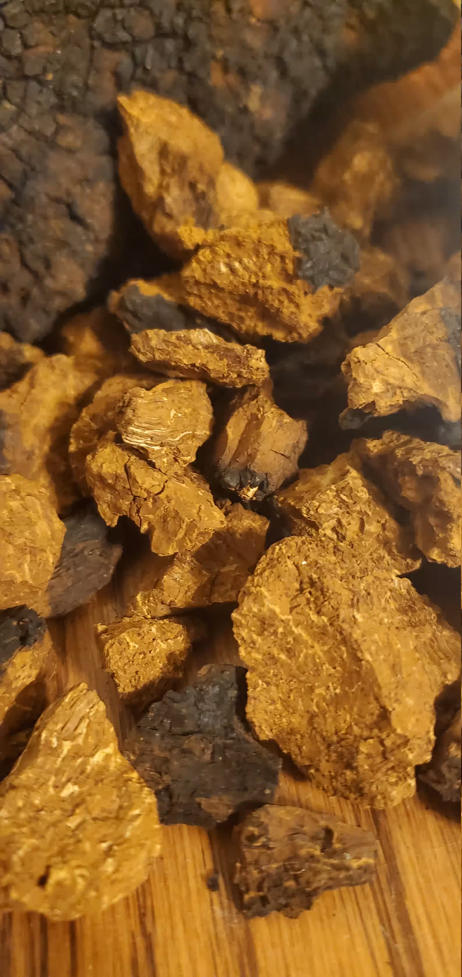 CHAGA  WHOLE, CHUNKS, NIBS or POWDER (on request)  Inonotus obliquus, Hua Jie Kong Jun From regenerative forestry initiative read below!!